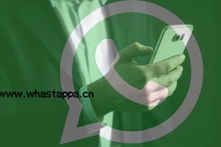 一键下载WhatsApp,开启高清聊天新体验-WhatsApp